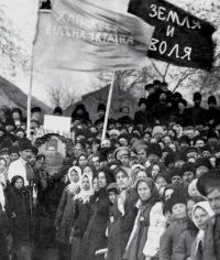 Land and Freedom 1917 Ukrainian peasants